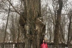 Salaspils papele