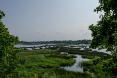 Doles salas dabas parks IV