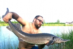 Jaunrūtiņas zivs