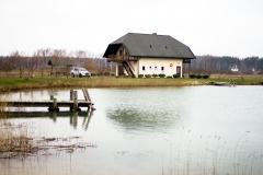 Jaunrūtiņas