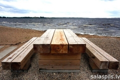 Pludmale-piknika vieta