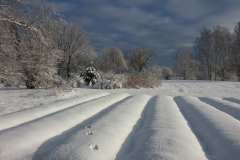 Salaspils ziemā II