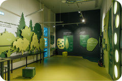 Botania_Lapu-ekspozicija-attelotas-koku-lapotnes.-foto-Markovskis_marts-2024