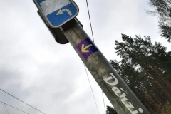 125194341_3522969901105919_6899620267039987634_n