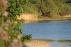 20230513200204_IMG_0617