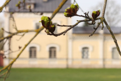 434031667_1219428822516660_66062184882281082_n