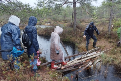 Salaspils-Zeltinu-purva-pargajiens_194424