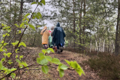 Salaspils-Zeltinu-purva-pargajiens_8580