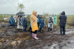 Salaspils-Zeltinu-purva-pargajiens_8588
