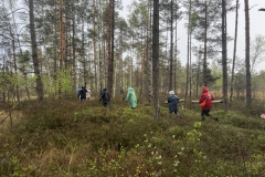 Salaspils-Zeltinu-purva-pargajiens_8631