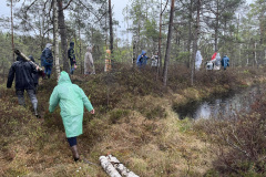 Salaspils-Zeltinu-purva-pargajiens_8653