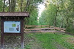Salaspils karsta kritene
