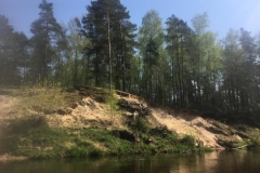 IMG-20190501-WA0019