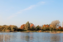 Doles sala no Sausās Daugavas