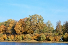 Daugavas muzejs no Sausās Daugavas I