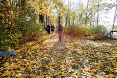 Doles rudens