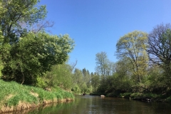 IMG-20190502-WA0010