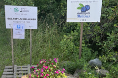 Mājas kafejnīca Salaspils mellenēs