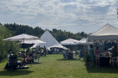Mājas kafejnīca Salaspils mellenēs