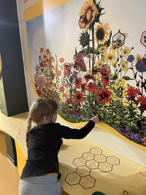 Vides iglītības centrā "Botania"