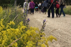 3da746ff-f253-452a-9b03-79784b6166fe