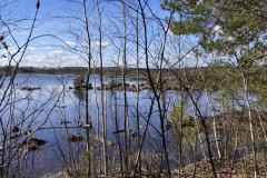 Jana_1