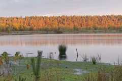 WhatsApp-Image-2024-09-22-at-09.58.33-1