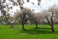 20190512_112338