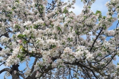 20190512_112758