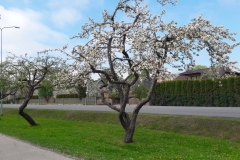 20190512_113019