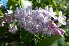 DSCN2102