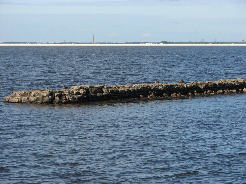 Salaspils Daugavas pludmale III