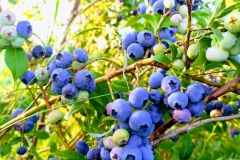 IMG_20190730_202401-EFFECTS-2
