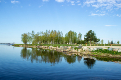 Edīte-Ogorodņikova