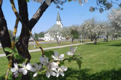 Zigrīda-Čodare