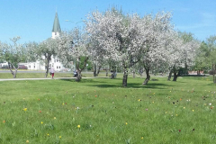 Zigrīda-Čodare