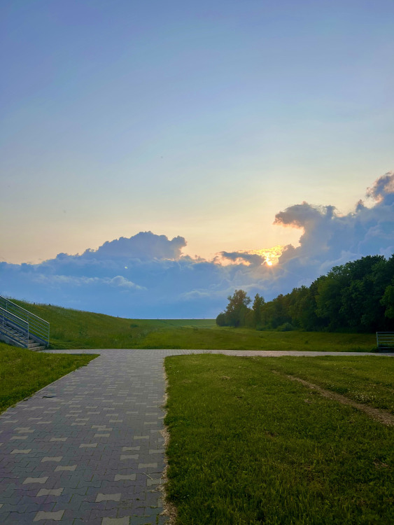 Salaspils dambis