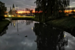 Ieviņa-Dzenīte