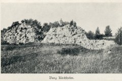 Salaspils-pilsdrupas-Zudusilatvija.lv_