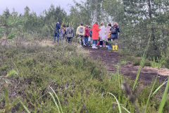 Salaspils Zeltiņu purvā