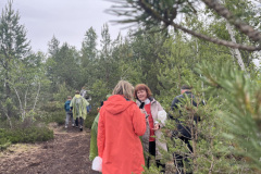Salaspils Zeltiņu purvā