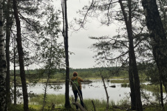 Salaspils Zeltiņu purvā