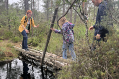Salaspils Zeltiņu purvā