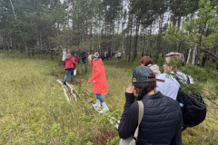 Salaspils Zeltiņu purvā