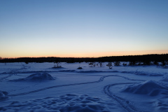 Salaspils-Zeltinu-purvs_2026_14