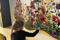 Vides izglītības centrs "Botania"