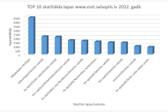 11.visit_.salaspils.lv_