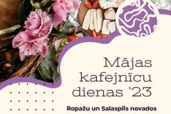 MKD-vizualis