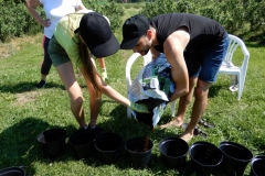 Salaspils-Mellenes_12