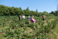 Salaspils-Mellenes_5